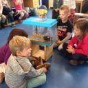 Maandagmiddag hadden we de kuikentjes Veer en Peer op visite in de klas. De kinderen vonden het heel erg leuk en Jort kon goed vertellen over deze lieve beestjes die geboren zijn in een broedmachine!