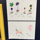Nog meer voorspellingen van de kinderen over hoe de bloemen/planten eruit gaan zien